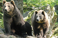 Naturpark Bayerischer Wald
