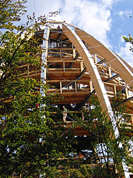 Baumwipfelpfad Bayerischer Wald
